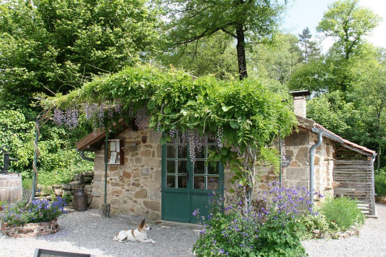 Domaine Les Teuilleres Bed & Breakfast Lacam-d'Ourcet Exterior photo