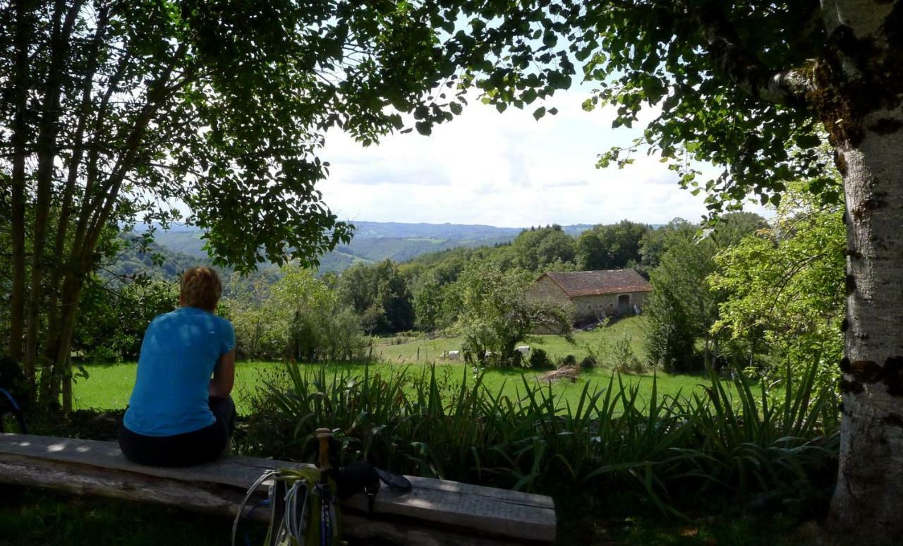 Domaine Les Teuilleres Bed & Breakfast Lacam-d'Ourcet Exterior photo